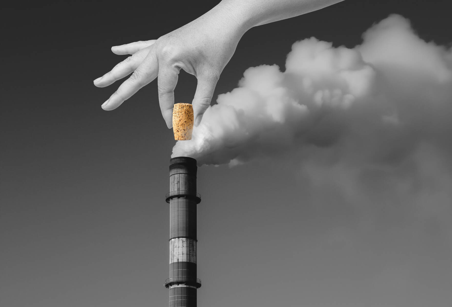 Image showcasing Sustainable Solutions: Mechanical Insulation and the Environment
